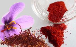 خرید پودر زعفران تازه درجه یک + بهترین قیمت