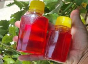 عصاره زعفران مایع خالص اصل | قیمت مناسب خرید عالی